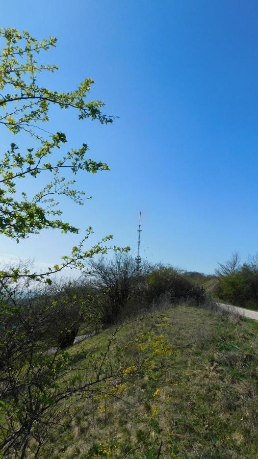 Oberlangfurth Gasthof Gruener Baum מראה חיצוני תמונה